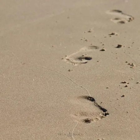 Accommodatie bij particulieren Bianco *